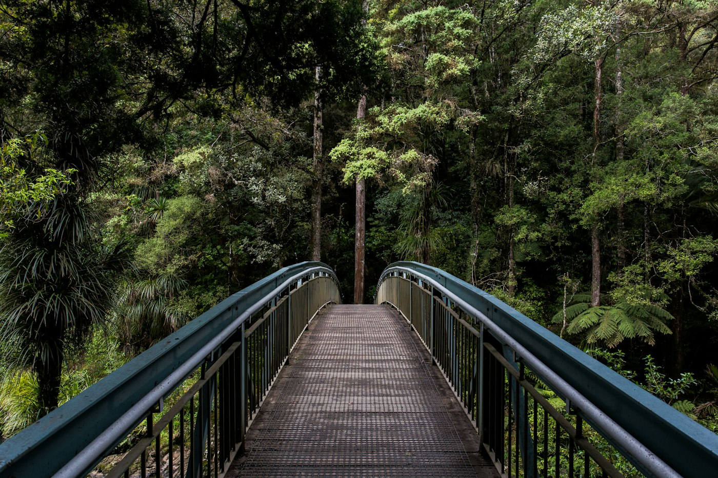 Puente de madera cruzando un sendero dentro del bosque